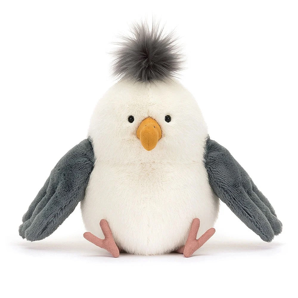 BA - Chip Seagull