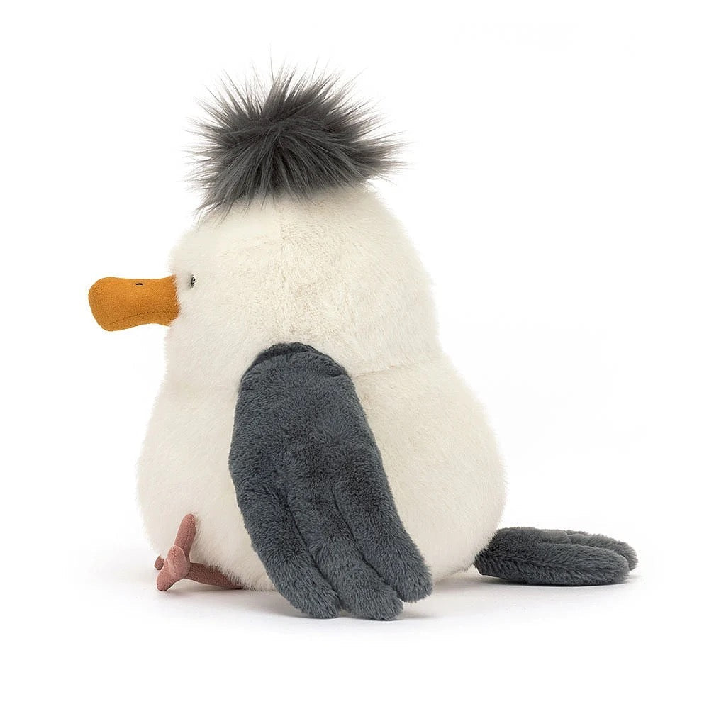 BA - Chip Seagull