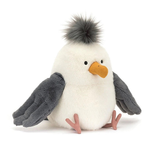 BA - Chip Seagull