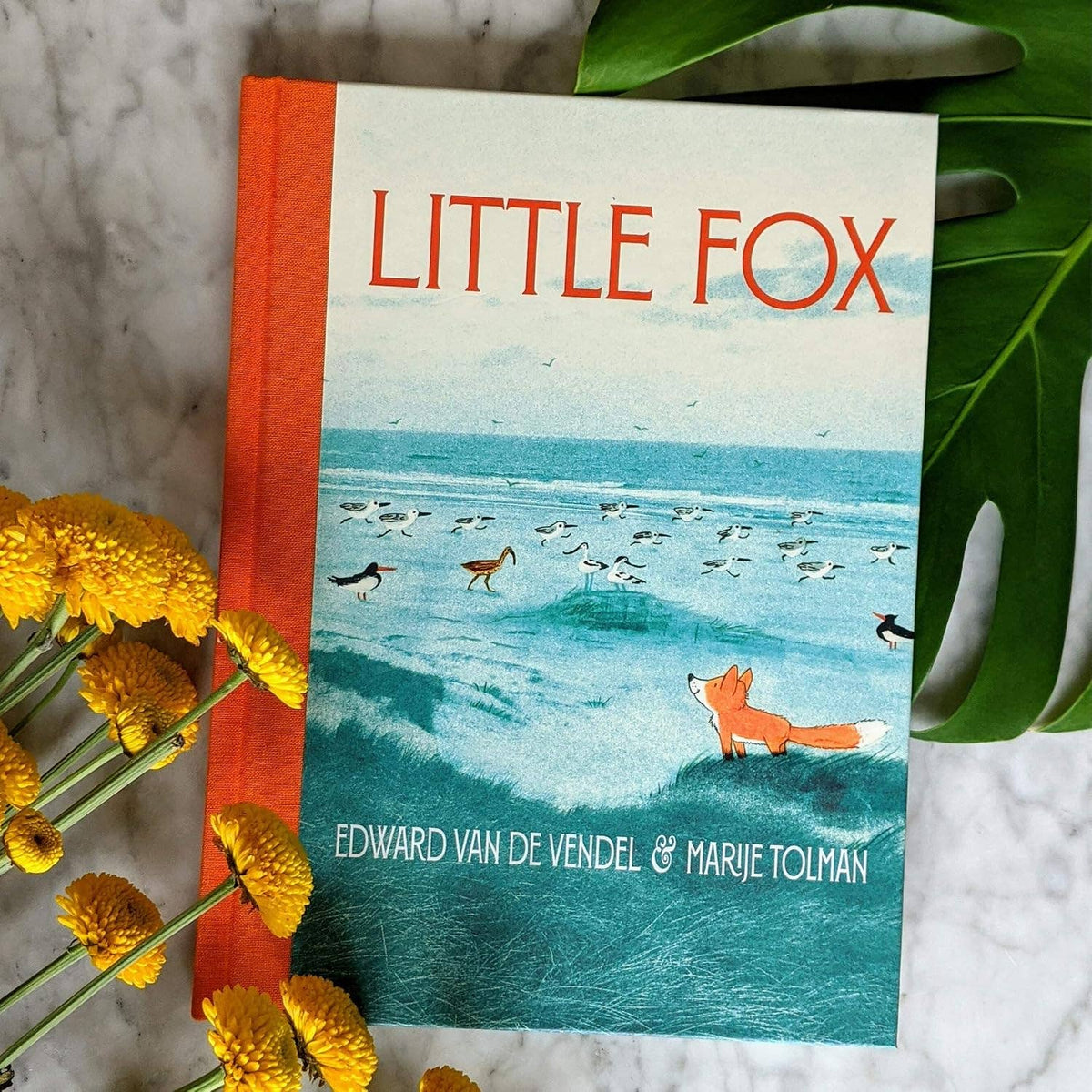 Little Fox