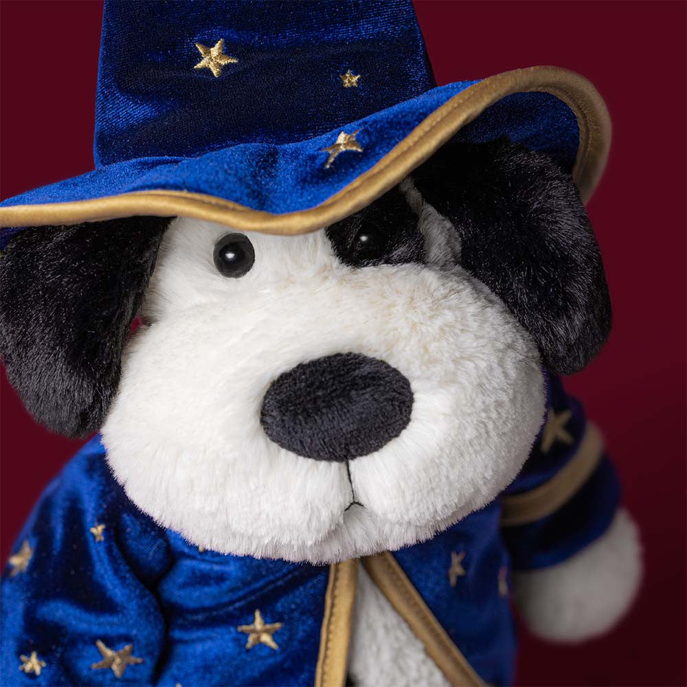BA - Rufferty Puppy Wizard Outfit