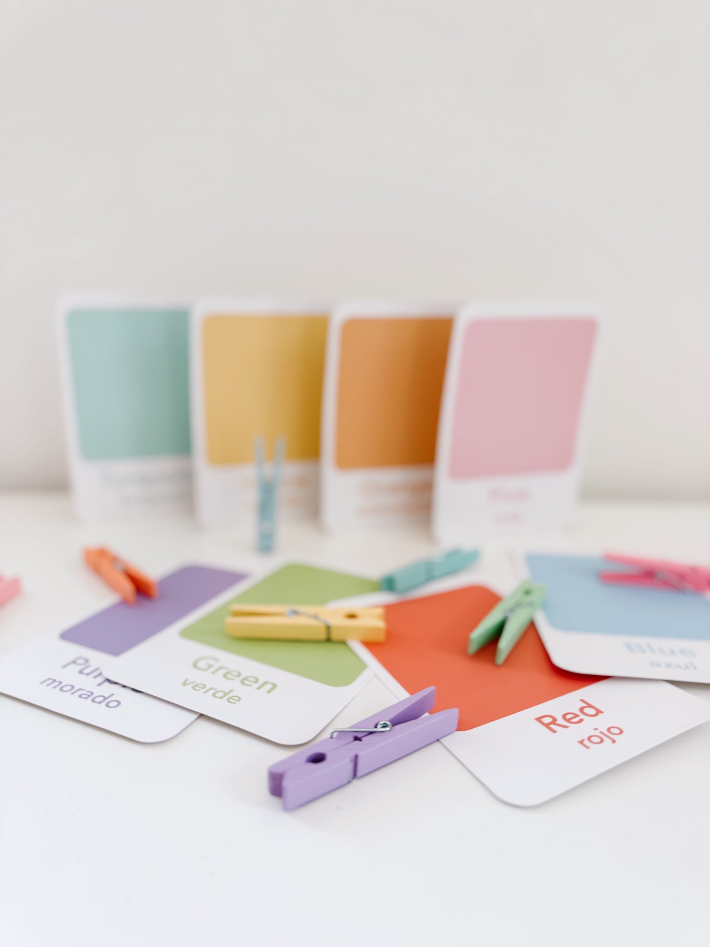 Color Sorting Flashcards