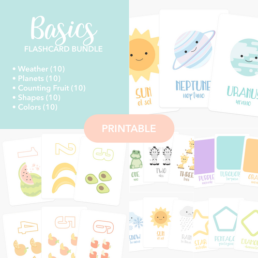 Basics Flashcards Bundle