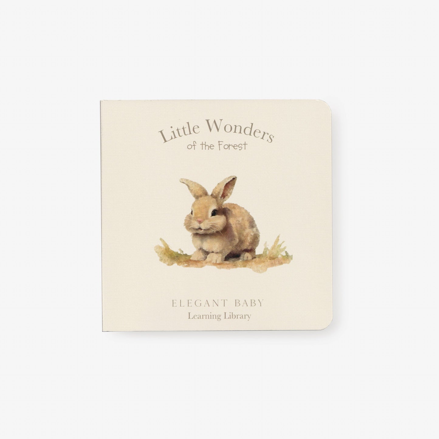 BA - Little Wonders Board Book