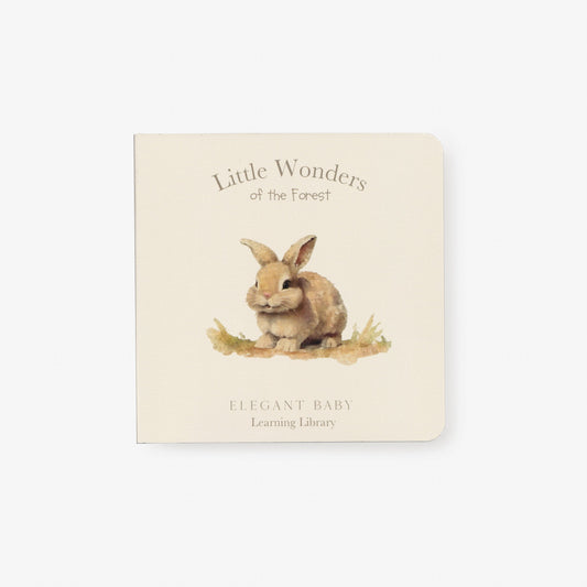 BA - Little Wonders Board Book