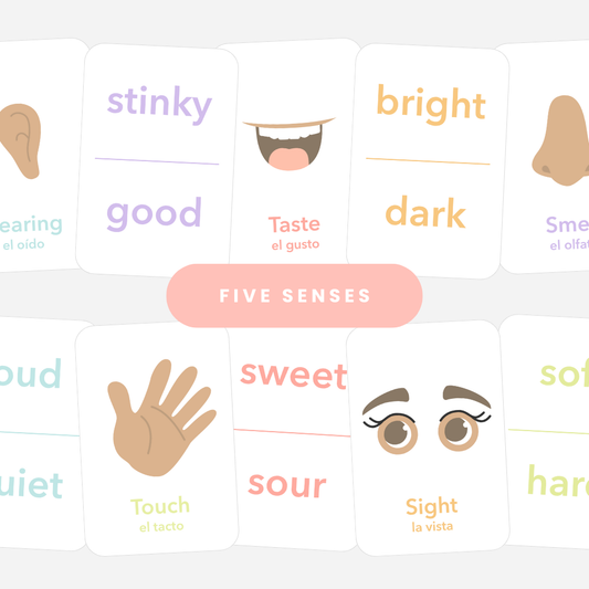 5 Senses Flashcards