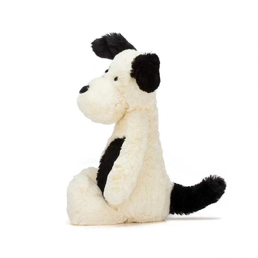 BA - Bashful Black and Cream Puppy