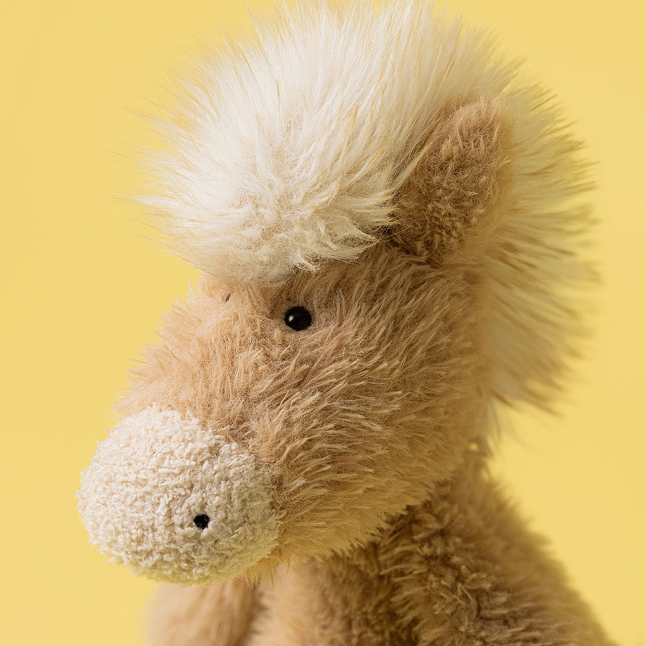 BA - Canterneigh Pony