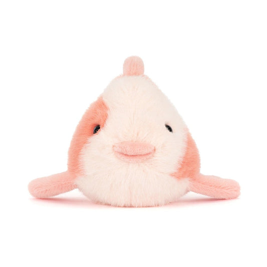 BA - Fancy Carp