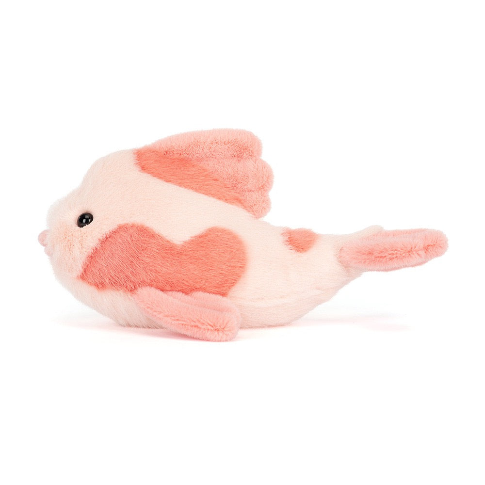 BA - Fancy Carp