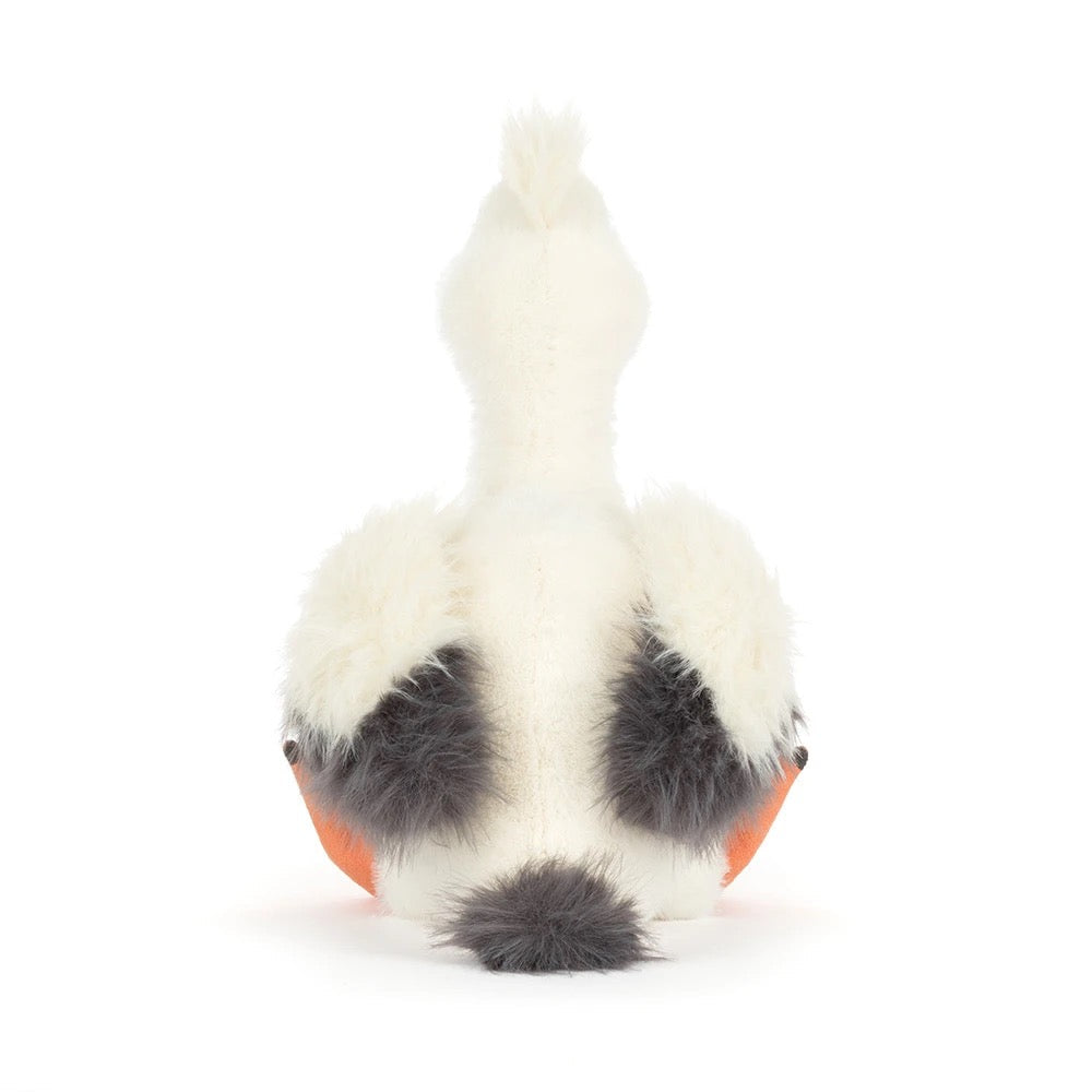 BA - Keli Pelican