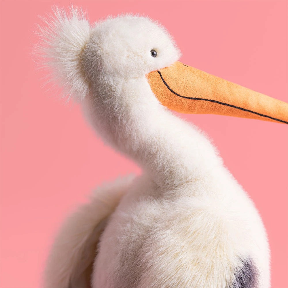 BA - Keli Pelican