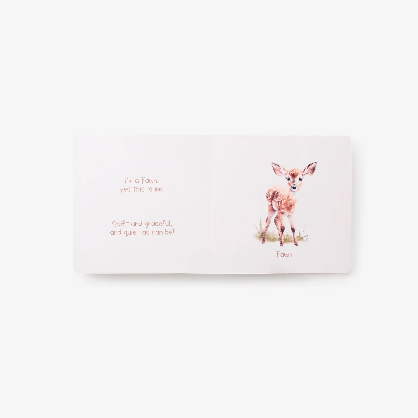 BA - Little Wonders Board Book