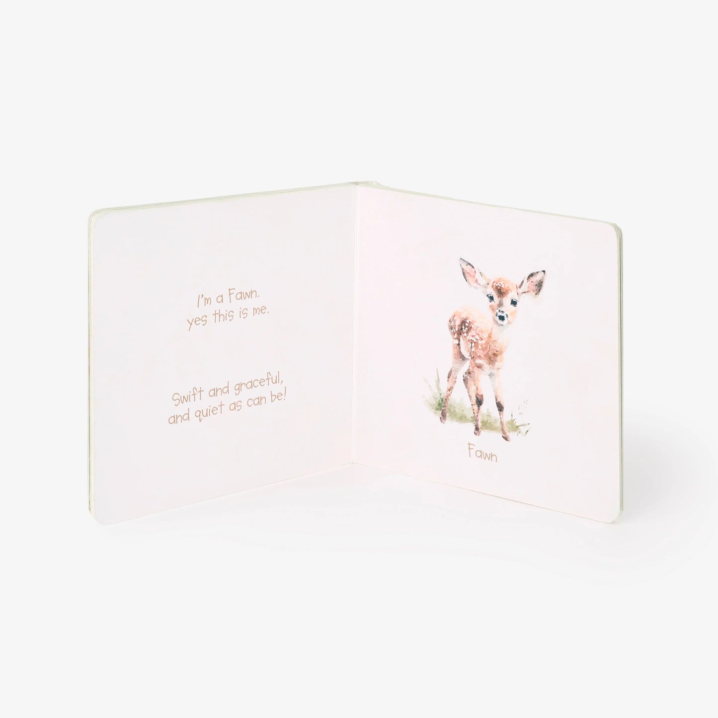 BA - Little Wonders Board Book