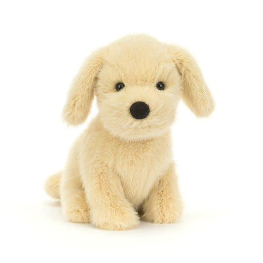 BA - Golden Puppy