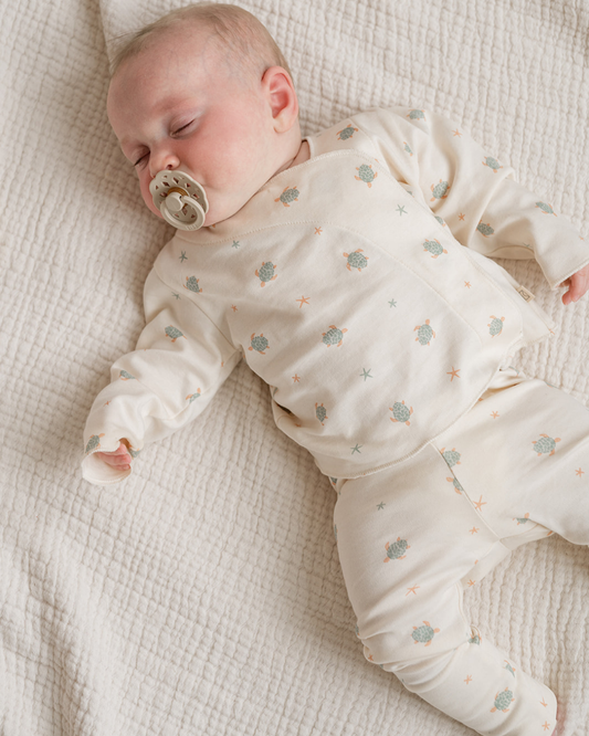 Riley Magnetic Baby Set in Turtles