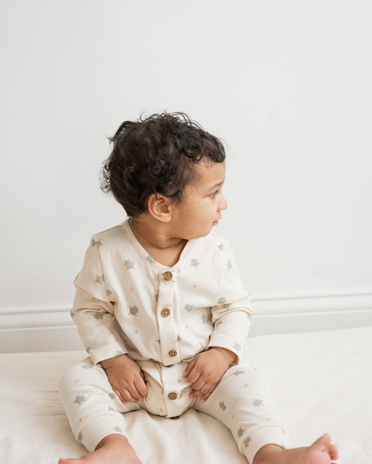 Quinn Magnetic Playsuit in Turtles