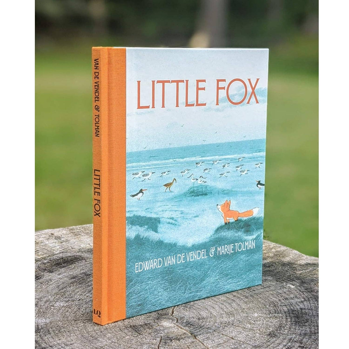 Little Fox