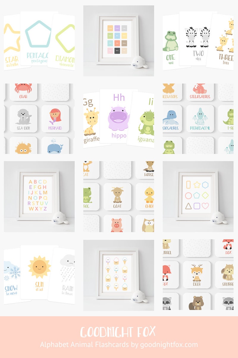 Animal Alphabet Flashcards