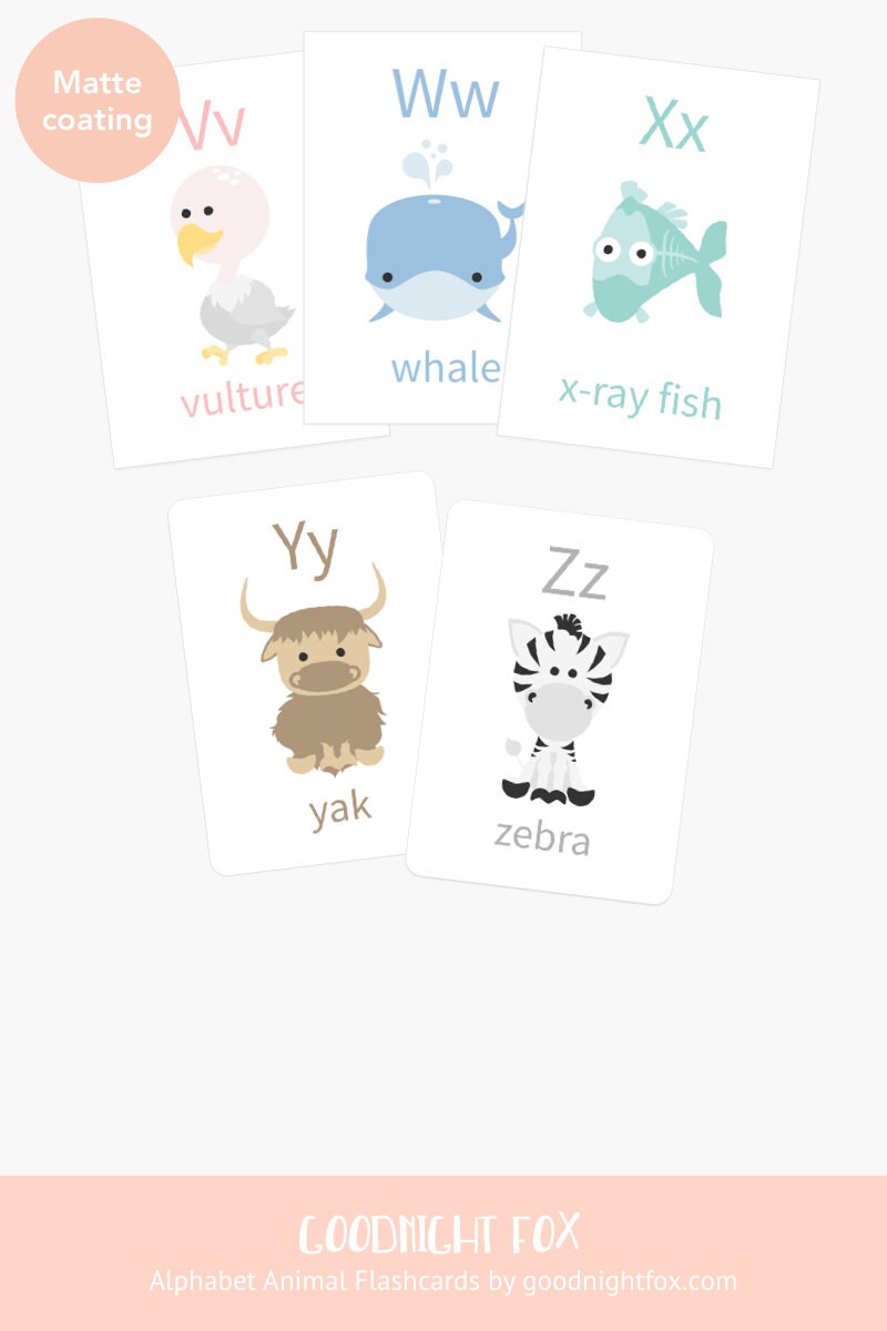 Animal Alphabet Flashcards