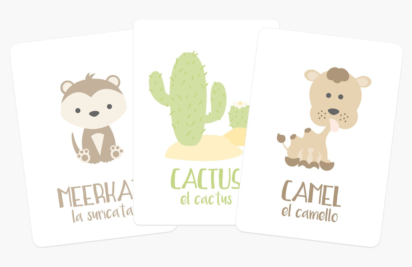 Desert Animal Flashcards